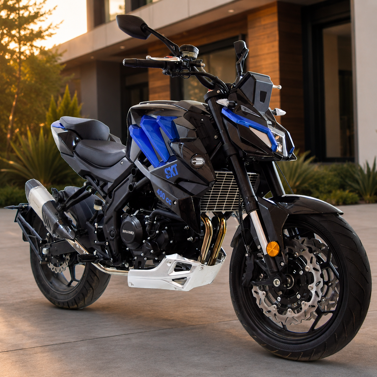 Skeleton 400 cc